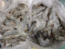 鮮京采 原裝進(jìn)口厄瓜多爾白蝦 凈重3.3斤 大號30-40規格 50-66只/盒 曬單實(shí)拍圖