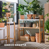 宜家（IKEA）SATSUMAS沙圖瑪斯陽(yáng)臺客廳置物架落地式盆栽多肉花架子 植物架竹/白色70cm 曬單實(shí)拍圖