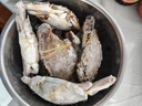 舟山梭子蟹 鮮活野生大螃蟹新鮮冷凍海鮮水產(chǎn)海蟹飛蟹白蟹順豐 5-7兩/只【4斤 個(gè)大肉多】?jì)糁?曬單實(shí)拍圖