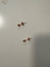 妙聚福18K金耳堵耳釘扣玫瑰金耳飾彩金女耳釘塞k金配件黃金白金耳托后塞 花邊單只18k玫瑰金 曬單實(shí)拍圖