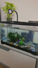 闊庭魚(yú)缸懶人魚(yú)缸家用客廳辦公室金魚(yú)缸過(guò)濾魚(yú)缸黑色款 曬單實(shí)拍圖
