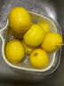 四川安岳黃檸檬9斤新鮮水果當季現摘皮薄一級香水檸檬塔希提青檸M 5斤【新鮮現摘】 曬單實(shí)拍圖