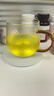 憶壺茶恒溫杯墊保溫底座加熱水杯茶杯玻璃茶具辦公室家用熱牛奶神器套裝 曬單實(shí)拍圖