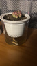花盆綠植盆栽桌面盆栽自動(dòng)吸水懶人花盆塑料免澆水培栽綠植多肉花 自動(dòng)吸水花盆【1】個(gè) 曬單實(shí)拍圖