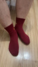 恒源祥紅襪子男女100%純棉紅襪結婚本命年鴻運襪安可拉紅2026馬年紅襪 男酒紅6雙 均碼 曬單實(shí)拍圖