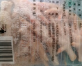 大用單凍雞鳳爪2斤（500g*2） 白羽雞烤鳳爪短爪鹵雞爪燒烤鹵食材清真 曬單實(shí)拍圖