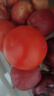 新鮮沙瓤西紅柿自然成熟現摘現發(fā)番茄下蔬菜生鮮減肥單果80g+ 新鮮西紅柿 3斤 凈重 曬單實(shí)拍圖