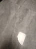 夢(mèng)茜兒（MEXEMINA）兔子活物侏儒兔鳳眼小型茶杯兔長(cháng)不大不咬人寵物荷蘭垂耳兔子活體 黃白侏儒兔【公母可選】 曬單實(shí)拍圖