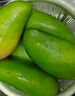 顧果鮮芒果新鮮廣西大青芒當季熱帶時(shí)令孕婦水果青皮甜心青芒果 9斤 精選特大果【單果400g+】 曬單實(shí)拍圖