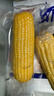 十月稻田 黃糯玉米 3.52斤(220g*8根) 25年新玉米 低脂 早餐零食 東北玉米 曬單實(shí)拍圖