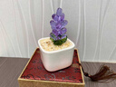頂妃（DING FEI）琉璃小擺件桌面擺件多肉仙人掌豆芽盆栽辦公室玻璃工藝品生日禮物 風(fēng)信子-紫色 BG 曬單實(shí)拍圖
