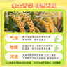 十月稻田 黃小米 5斤 可溯源 五谷雜糧 粥米 早餐小米粥 2.5kg 曬單實(shí)拍圖