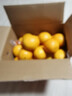 京覓贛南臍橙新鮮水果生鮮甜橙子9斤精品果 單果約170g+ 源頭直發(fā) 曬單實(shí)拍圖