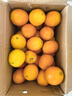 庾豐 江西贛南臍橙新鮮橙子  新鮮水果整箱孕婦手剝橙 當季現摘贛州橙 10斤裝-凈果9斤 單果110-220g 源頭產(chǎn)地直發(fā) 品質(zhì)甄選 曬單實(shí)拍圖