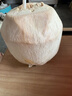 水果碼頭泰國進(jìn)口香水奶椰天然椰子椰青 單果900g 水果碼頭進(jìn)口香水椰1粒裝送吸管 曬單實(shí)拍圖