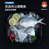 鮮京采 冷凍舟山地標鮮捕大號銀鯧魚(yú)凈重3斤 5-6條/斤 源頭直發(fā) 曬單實(shí)拍圖