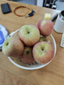 龍多鮮正宗天然冰糖心蘋(píng)果 丑蘋(píng)果 新鮮富士應季水果 送禮推薦 整9-10斤精選好果 約18-24個(gè) 凈8.5 曬單實(shí)拍圖