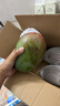 京鮮生 攀枝花凱特芒果 凈重9斤 單果500g+ 生鮮水果 源頭直發(fā) 曬單實(shí)拍圖