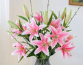 迷.妝 假花高支百合花仿真花束單支客廳電視柜餐桌裝飾品仿真花套裝花 5粉色香水百合1把春柳（不含花瓶） 曬單實(shí)拍圖