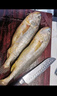 海名威 寧德三去黃花魚(yú)2斤/2條凈重 大黃魚(yú) 生鮮魚(yú)類(lèi) 海鮮水產(chǎn)  曬單實(shí)拍圖