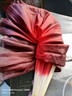 舞蹈扇子萬(wàn)疆真絲酒紅色加大加長(cháng)廣場(chǎng)古典舞長(cháng)綢扇子古風(fēng)演出扇子 40cm飄頭 31cm扇骨 酒紅專(zhuān)業(yè)扇 雙層新款激光裁邊右手 左手備注 曬單實(shí)拍圖