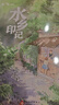 時(shí)光小書(shū)房水鄉印記 曹文芳 北京少年兒童出版社 曬單實(shí)拍圖