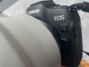 佳能（Canon）EOS R8 全畫(huà)幅微單數碼相機 單機身（約2420萬(wàn)像素/小型輕量） 曬單實(shí)拍圖