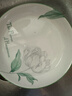 茉莉花6.5英寸盤(pán)子人工手繪小盤(pán)子吐骨碟涼菜餐具 6.5英寸16.9CM2只裝 曬單實(shí)拍圖