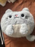 語(yǔ)森憶可愛(ài)毛絨抱枕充電式熱水袋卡通暖手寶女生過(guò)冬必備神器送女友禮物 可愛(ài)萌貓可拆洗/速熱內膽/加厚布套/國標防爆 曬單實(shí)拍圖