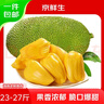 京鮮生海南菠蘿蜜 23-27斤 凈重23斤+   生鮮水果 源頭直發(fā) 曬單實(shí)拍圖