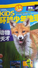 環(huán)球少年地理+探索歷史雜志組合 2026年1月起訂 全年雜志訂閱 兒童科普百科書(shū)籍 美國國家地理少兒版版權合作 少兒國學(xué)期刊 少兒科普期刊 曬單實(shí)拍圖