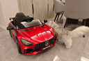 樂(lè )威普奔馳授權兒童電動(dòng)車(chē)四驅遙控車(chē)小孩四輪寶寶禮物玩具汽車(chē)可坐人 曬單實(shí)拍圖