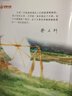（團購優(yōu)惠）青銅葵花正版曹文軒原著(zhù)純美小說(shuō)7-12歲草房子系列兒童文學(xué)青少年四五年級下冊 小學(xué)生課外閱讀書(shū)籍全套完整原版江蘇少兒出版社 曹文軒純美小說(shuō)全集（全15冊）專(zhuān)屬盒裝 曬單實(shí)拍圖