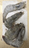 東上御品 國產(chǎn)青島大蝦 特大號白蝦 2030規格 凈重3斤 盒裝活凍 曬單實(shí)拍圖
