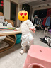 小狗比格 兒童內衣套裝純棉男寶寶秋衣秋褲女睡衣春秋家居服嬰兒秋裝 2455開(kāi)心兔 90 cm建議18-24個(gè)月 曬單實(shí)拍圖