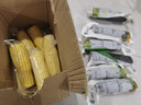 守望鄉村（KEEP W-VILLAGE GO）新鮮東北玉米 早餐粗糧苞米棒黏粘甜糯玉米棒真空包裝 玉米6黑6黃（總凈重2400g以上） 曬單實(shí)拍圖
