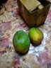 集南鮮 凱特芒果 四川攀枝花芒果當季大青皮黃皮大芒果新鮮水果整箱 含箱5斤  單果500g起  凈重4.5斤 曬單實(shí)拍圖