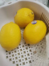 優(yōu)味集【JD順豐速達】高端品種進(jìn)口黃檸檬南非新鮮薄皮香水鮮果泡水佳果 2斤凈重 商超級大果（單果120g+） 曬單實(shí)拍圖