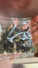 方家鋪子中華老字號 紫菜蝦皮魚(yú)板湯70g(10袋） 海鮮湯料包 速食即食湯 曬單實(shí)拍圖