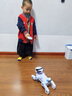 RWTW男孩玩具2025ai人工智能機器狗遙控機械編程兒童7送男孩生日禮物 AI科技白自由對話(huà)情緒安撫互動(dòng)逗狗特技舞蹈丨聯(lián)動(dòng)燈光 【三大AI大模型】3組充電鋰電池【超長(cháng)續航+遙控電池】 曬單實(shí)拍圖