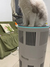 霍尼韋爾（Honeywell）【papi醬同款】寵物貓用空氣凈化器吸貓毛除甲醛過(guò)敏源殺菌消毒霍哈寶H-Cat Hub家電國家補貼 曬單實(shí)拍圖