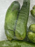 東北特產(chǎn)天然旱黃瓜刺黃瓜小青瓜水果黃瓜生吃黃瓜新鮮凈重發(fā)貨 5斤黃瓜 曬單實(shí)拍圖