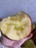 譯蒙之味四川大涼山冰糖心丑蘋(píng)果鹽源特產(chǎn)新鮮孕婦水果禮盒甜心整箱 5斤大果【更大更甜】 曬單實(shí)拍圖