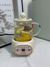 小南瓜養生壺多功能全自動(dòng)煮茶器迷你家用燒水壺電熱水壺恒溫壺茶壺家電茶壺燒水器煎藥壺煮水壺玻璃壺 頂配款【配濾網(wǎng)+杯墊+勺子】 0.5L 曬單實(shí)拍圖