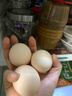 圣迪樂(lè )村 可生食新鮮雞蛋30枚禮盒裝凈重3斤 無(wú)抗生素谷糧喂養 曬單實(shí)拍圖