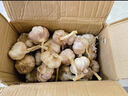 精選新鮮山東大蒜干蒜多瓣蒜頭蔬菜批發(fā)產(chǎn)地直發(fā)大蒜頭 優(yōu)選 1斤 (果徑≥3.5cm) 曬單實(shí)拍圖