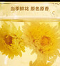 京東京造 杭白菊花茶胎菊100g量販裝京東自營(yíng)桐鄉清花草茶火泡水喝養生茶 曬單實(shí)拍圖
