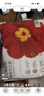 宜嬰新夢(mèng)想家全包臀小內(nèi)褲3XL32片拉拉褲超薄【品牌直供 安心品質(zhì)】 曬單實(shí)拍圖