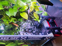 尼特利（NETLEA）過(guò)濾桶小型外掛魚(yú)缸過(guò)濾器壁掛式水族養魚(yú)龜缸除油膜魚(yú)缸過(guò)濾系統 2號壁掛過(guò)濾桶+濾材+除油膜+CO2套裝 曬單實(shí)拍圖