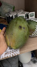 三亞芒果  海南芒果新鮮水果生鮮整箱當季大青皮芒 熱帶孕婦芒果 10斤裝(凈果9斤)單果400g+ 曬單實(shí)拍圖